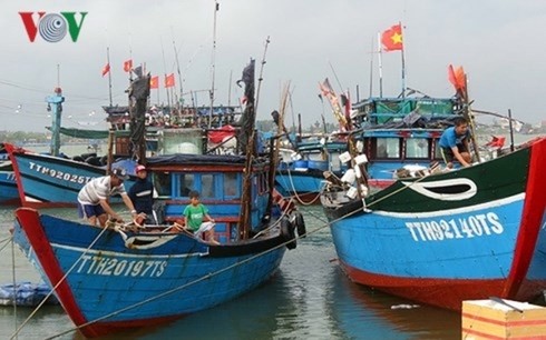 Проект «Запрет и сокращение временной добычи морепродуктов в акватории Вьетнама»