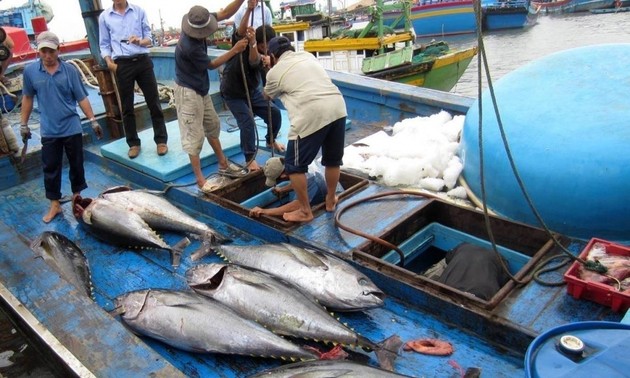 Вьетнам прилагает большие усилия для отмены «жёлтой карточки» ЕК и устойчивого развития рыболовства