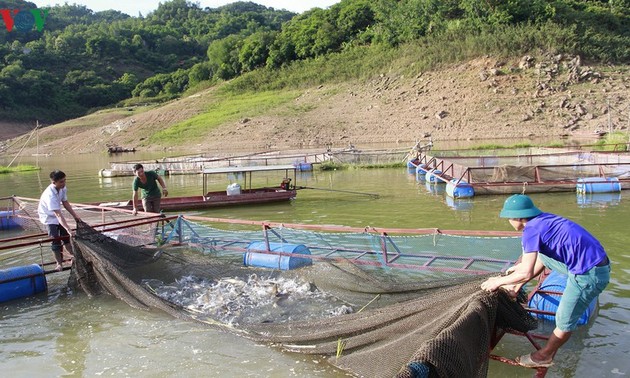 Вьетнам и Норвегия сотрудничают в развитии рыбного хозяйства