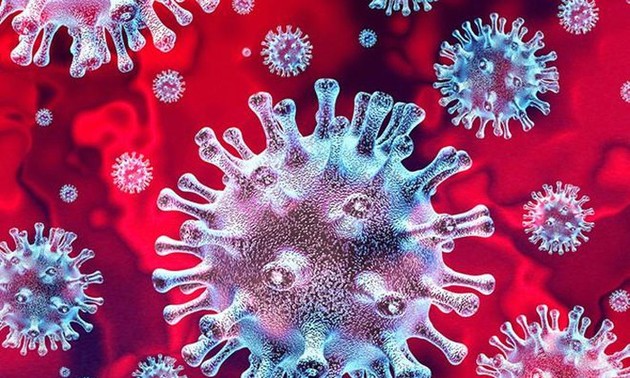 ВОЗ официально переименовала новый штамм коронавируса