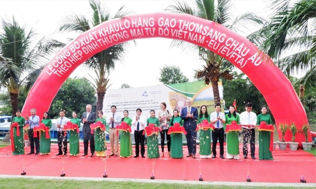 Церемония объявления об экспорте первой партии вьетнамского ароматного риса в Европу 