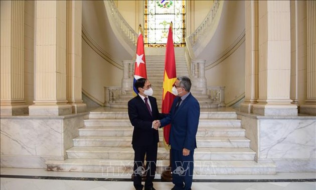 Министр иностранных дел Буй Тхань Шон провёл двустороннюю встречу с исполняющим обязанности министра иностранных дел Кубы Марселино Мединой Гонсалесом