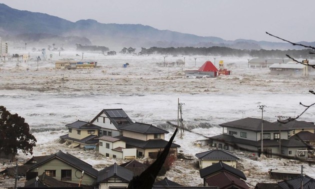 Землетрясение, цунами, ядерная катастрофа: 11 лет после трагедии в Японии