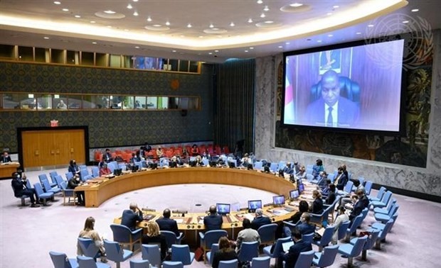 Совбез ООН продлил на год оружейное эмбарго в отношении ЦАР