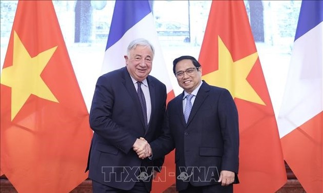 Дальнейшее форсирование вьетнамско-французских отношений