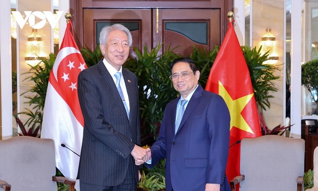 Премьер-министр Фам Минь Тинь принял старшего министра, министра координатора по вопросам национальной безопасности Сингапура Тео Чи Хина