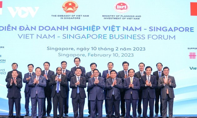 Премьер-министр Фам Минь Тинь принял участие во Вьетнамско-сингапурском бизнес-форуме