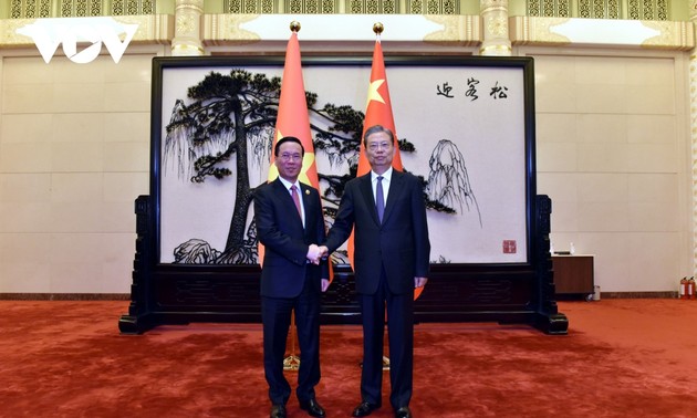 Президент Во Ван Тхыонг провел встречу с председателем постоянного комитета ВСНП Чжао Лэцзи