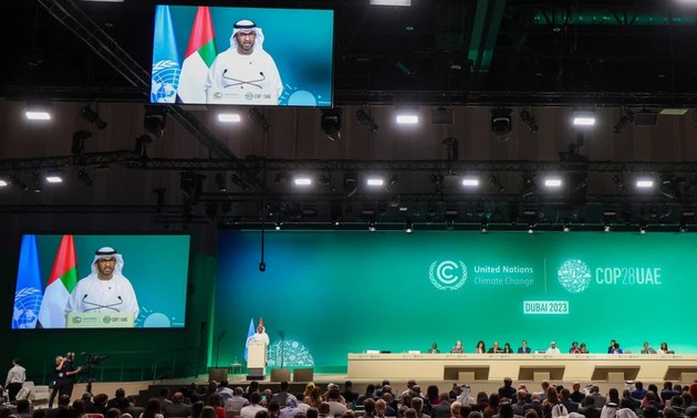 Участники COP28 одобрили создание компенсационного климатического фонда