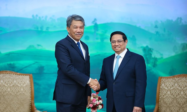 Премьер-министр Фам Минь Тинь принял министра обороны Малайзии
