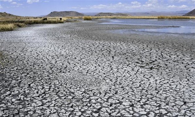 ООН: миру нужно 2,4 трлн долларов для реагирования на изменение климата