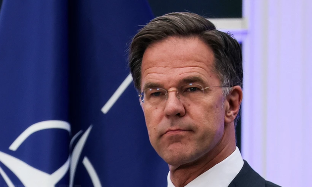 США, Британия и Германия поддержали кандидатуру премьер-министра Нидерландов на пост главы НАТО