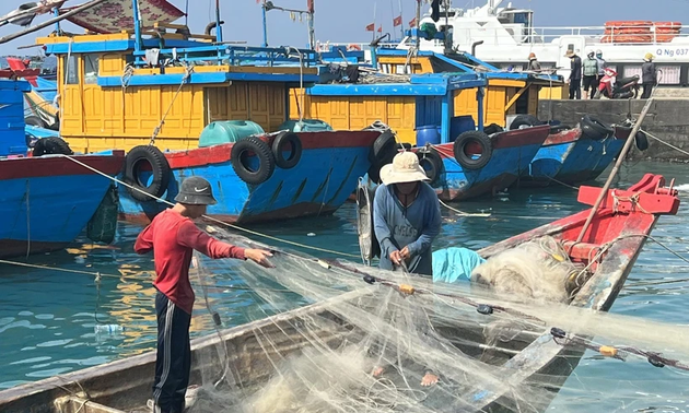 Вьетнам прилагает большие усилия для отмены желтой карточки ЕС в отношении морепродуктов