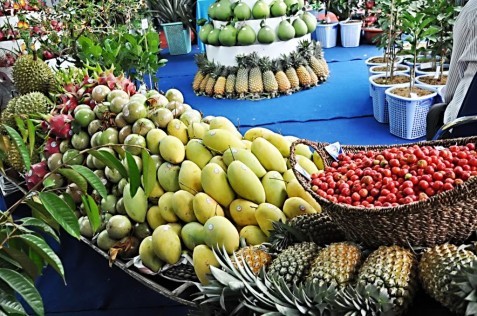Bến Tre: Khai mạc ngày hội cây trái và sản phẩm nông nghiệp