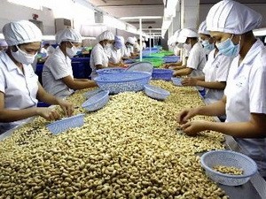 Trao đổi thương mại Việt Nam - Nam Phi tăng
