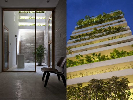 "Ngôi nhà xanh" của kiến trúc sư Võ Trọng Nghĩa nhận giải Tòa nhà của năm