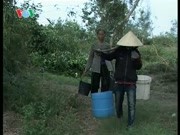 Quảng Trị: Huyện Vĩnh Linh thiếu nước sinh hoạt sau bão