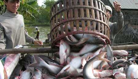 Đài truyền hình Australia chiếu phim giới thiệu về nuôi trồng và đánh bắt thủy hải sản ở Việt Nam