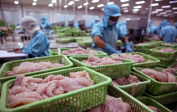Việt Nam đứng đầu về xuất khẩu cá sang Colombia