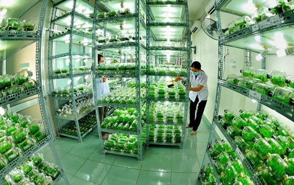 Bước phát triển nông nghiệp công nghệ cao ở thành phố Hồ Chí Minh