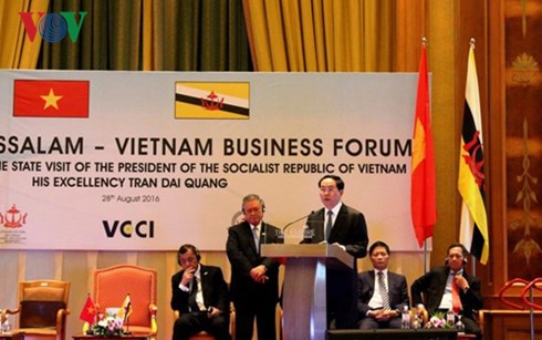 Chủ tịch nước Trần Đại Quang dự Diễn đàn Doanh nghiệp Việt Nam-Brunei