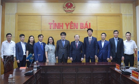 Liên minh Hợp tác xã Việt Nam và Tổ chức Lao động quốc tế làm việc với tỉnh Yên Bái