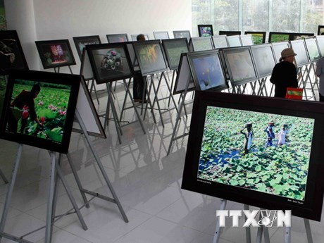 Phát động Cuộc thi ảnh Nghệ thuật Quốc tế lần thứ 11 tại Việt Nam