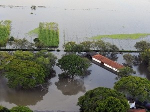 Vietnam berbagi pengalaman dalam mitigasi resiko bencana alam