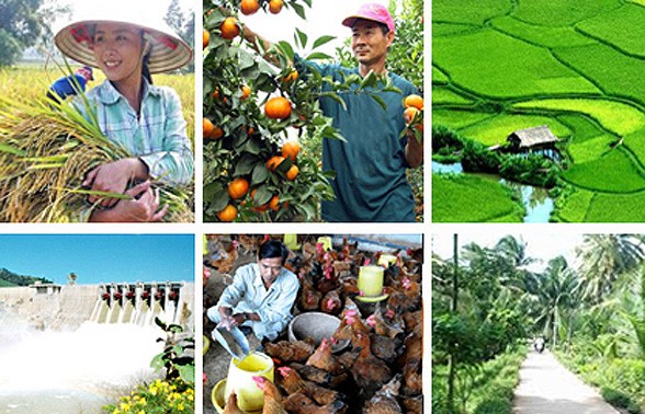 Koran Argentia memuji prestasi perkembangan pertanian Vietnam