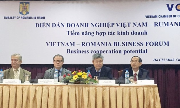 Kota Ho Chi Minh ingin mendorong kerjasama dengan Romania