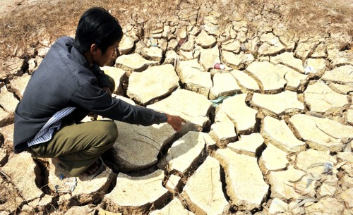Bank Dunia membantu Vietnam menghadapi perubahan iklim dan pertumbuhan hijau