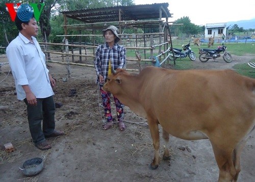 Grup petani yang punya hobi bersama di propinsi NinhThuan