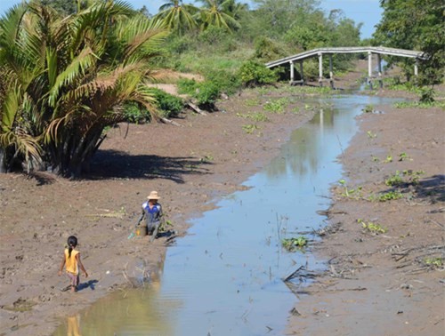 Kaum tani Daerah Dataran Rendah Sungai Mekong beradaptasi dengan musim tanpa banjir