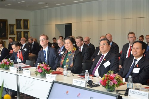 Wakil Ketua MN Tong Thi Phong menghadiri “Hari-hari Vietnam di Denmark”