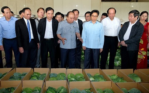 Melepaskan sumbah bagi pertanian Vietnam