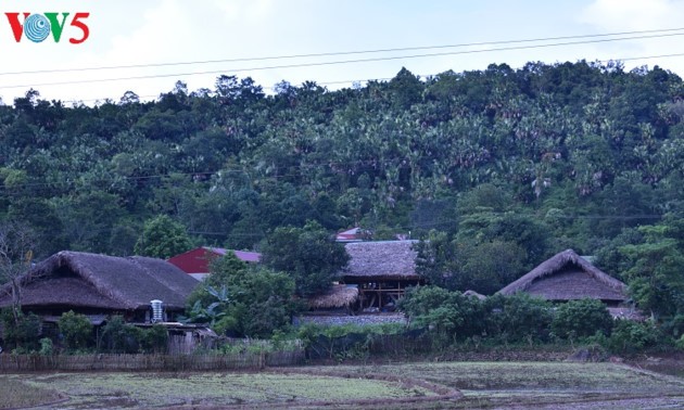 Pola wisata homestay turut memperbaiki kehidupan warga etnis Tay di Propinsi Ha Giang
