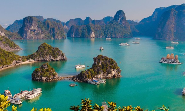 Memperkenalkan sepintas lintas tentang masalah menangani limbah wisata di Vietnam