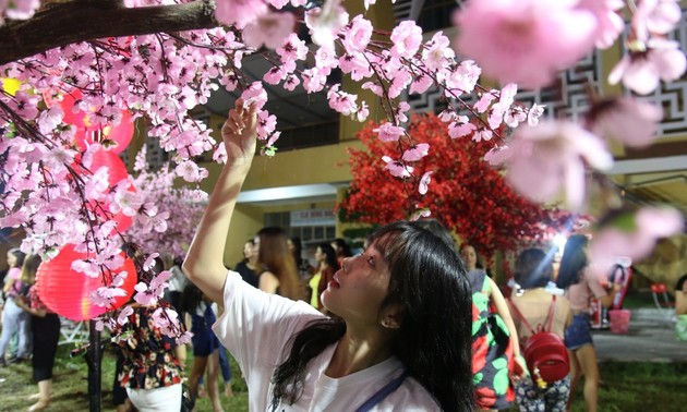 Kota Hanoi mengadakan Festival bunga Sakura  pada Maret 2019