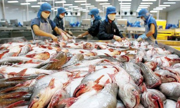Ekspor ikan patin menuju ke target 2,4 miliar USD 