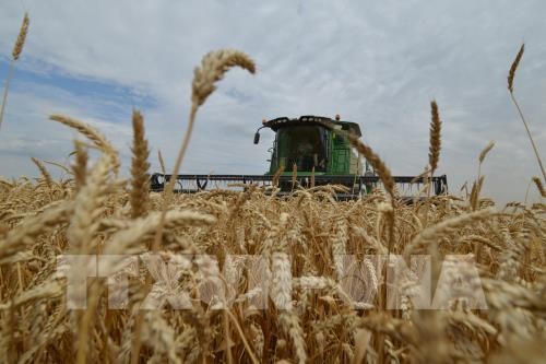 WTO mengeluarkan keputusan bahwa Tiongkok memberi subsidi pada beberapa produk pertanian