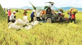 International aid mobilized for new rural development in Vietnam