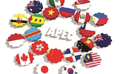 APEC Year 2017: Vietnam promotes international integration 