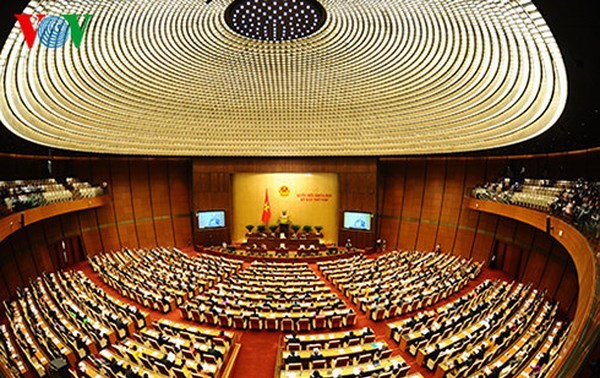 National Assembly session promotes reform, democracy, efficiency