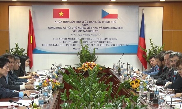 Vietnam, Czech Republic promote bilateral cooperation