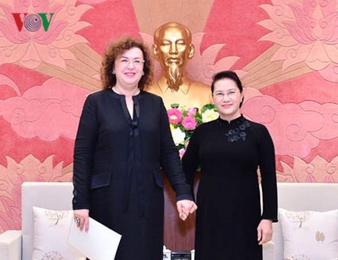 Vietnam NA support exchange, cooperation with Russian MPs