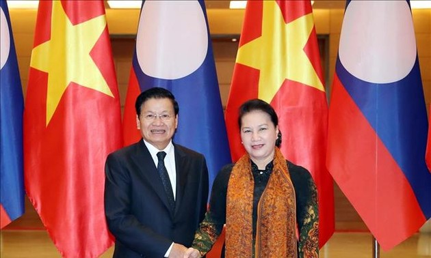 Vietnam, Lao leaders share experience on legislative body-government coordination 