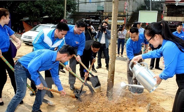 Hanoi to plant up to 120,000 new trees this spring
