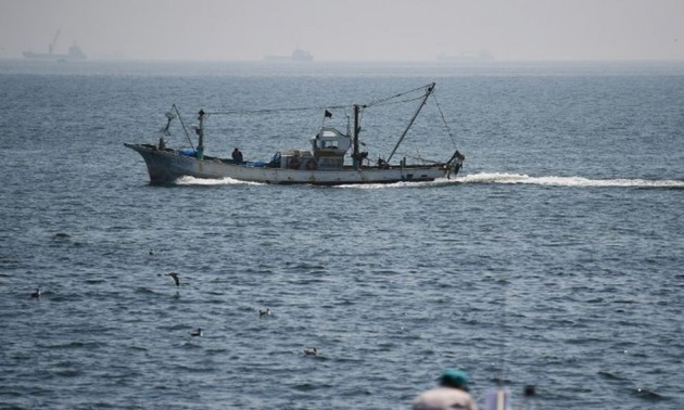 Vietnam takes citizen protection measure after ship collision off Japan  