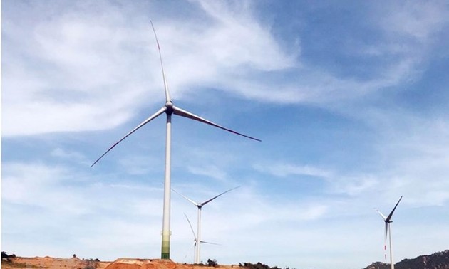 Bac Lieu wind power plant generates 1 billion kWh