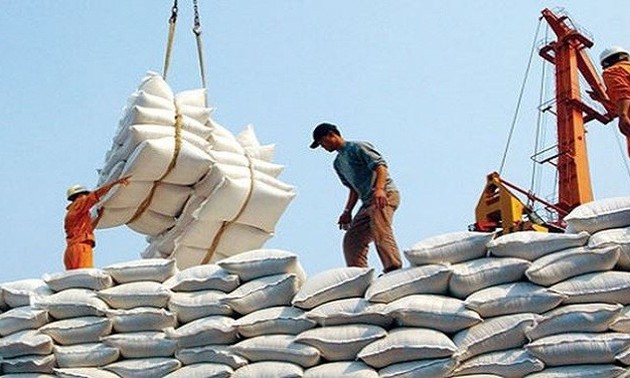 Vietnam's rice exports surpass 1 billion USD in past 4 months 